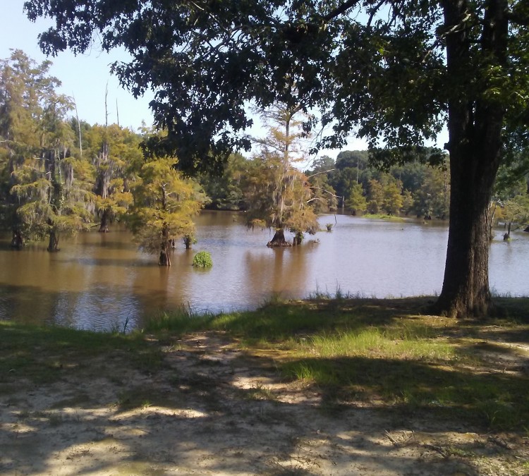 Leake County Water Park (Lena,&nbspMS)